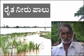 farmer-drowns-in-krishna-river