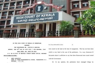 Permission to cut down trees on leased land High Court expresses concern over government order പട്ടയഭൂമിയില്‍ മരം മുറിക്കുന്നതിനുള്ള അനുവാദം സർക്കാർ ഉത്തരവിൽ ആശങ്ക പ്രകടിപ്പിച്ച് ഹൈക്കോടതി ഹൈക്കോടതി പട്ടയഭൂമി leased land High Court എറണാകുളം വാര്‍ത്ത eranakulam news പട്ടയഭൂമി leased land