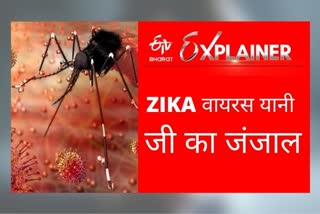 zika virus