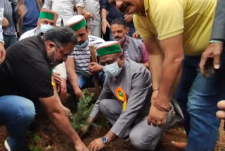 Congress planted saplings in Kanlog on Virbhadra Singh Van Mahatsav