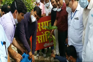 श्रीगंगानगर में पौधरोपण, Plantation in Sriganganagar