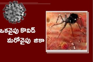 covid cases in kerala, Zika cases
