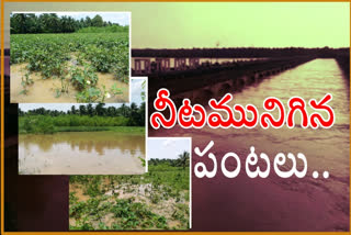 crops submerged in floods at east godavari district