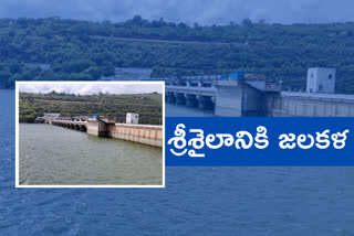 heavy-flood-flow-to-srisailam-reservoir
