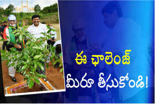 Amitabh planted sapling in ramoji film city