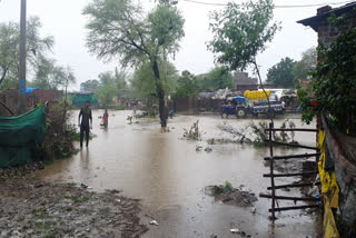 heavy rain in guna