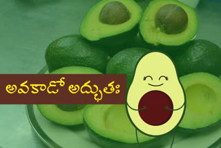avocado-reduces-blood-cancer