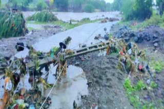 Gujarat Rain Update: રાજકોટના કાગદડીમાં વરસાદની તબાહી, 150 પશુઓ તણાયા