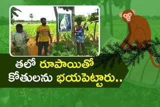 husnabad-farmers-controlling-monkeys-with-arranging-flexies-in-crops