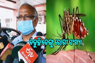 dengue cases increased in bhubaneswar