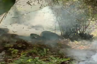 Cooker bomb found in Chhattisgarh Maharashtra border forest area