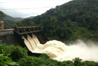 Storage capacity of dams in Idukki reduced  dams in Idukki filled with mud  ഇടുക്കിയിലെ ഡാമുകളിൽ ചെളി  ഡാമുകളിലെ ചെളി നീക്കം ചെയ്യുന്നില്ല