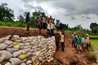the-farmers-repaired-the-canal-line-connected-to-the-rajadera-reservoir-in-dhamtari