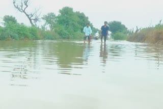 Banaskantha Rain: જિલ્લામાં લાંબા સમય બાદ વરસાદની એન્ટ્રી, ધાનેરાથી રાજસ્થાન જતો રસ્તો પાણીમાં ગરકાવ