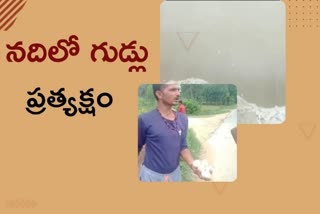 eggs flowing in sharada river