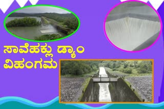 Savehaklu dam Speciality in shimoga district