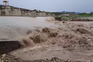 Water level rises Hathini Kund barrage