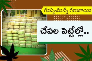 ganja caught at khammam