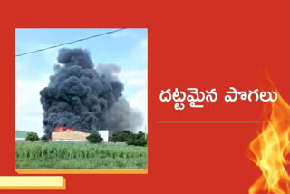 fire accident at siddipet district