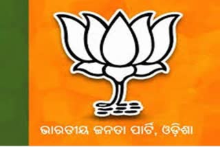 BJP state-level municipal committee is chaired by KV Singhdeo