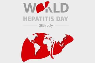 hepatitis b