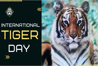 International Tiger Day