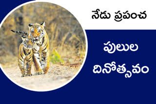 tiger conservation day