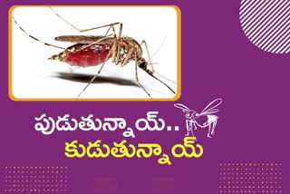 భాగ్యనగరంలో దోమల విజృంభణ