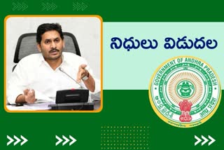 జగనన్న విద్యా దీవెన