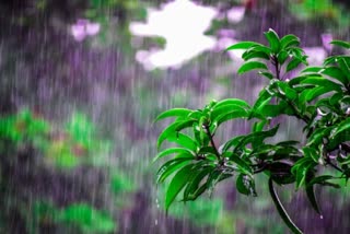 Rain update in Tamilnadu  மழை எச்சரிக்கை  6 மாவட்டங்களுக்கு மழை எச்சரிக்கை  கனமழை  கனமழைக்கு வாய்ப்பு  சென்னை வானிலை ஆய்வு மையம்  வானிலை அறிக்கை  weather report  rain update  heavy rain  rain update  chance to rain spell in six district  rain spell in six district