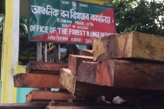 Vehicle loaded with timber seized at Samaguri