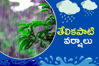 Telangana Weather Report