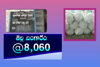 COTTON: ఎనుమాముల మార్కెట్​లో రికార్డు ధర పలుకుతోన్న పత్తి ధర