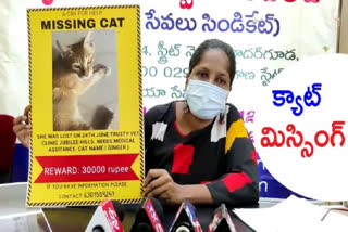 CAT MISSING: 'దయచేసి జింజర్​ ఆచూకీ చెప్పండి.. రూ.30 వేల రివార్డు ఇస్తా'