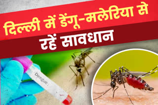 danger of dengue malaria rising in delhi doctor advising to take precaution