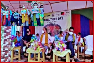 world tiger day