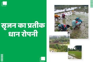 ritual of paddy plantation by women in hazaribag