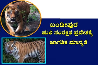 14 Tiger Reserves get Global CA/TS recognition for good Tiger Conservation