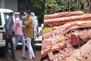 Muttil tree cutting case  മുട്ടില്‍ മരം മുറികേസ്  അമ്മയുടെ സംസ്‌കാര ചടങ്ങില്‍ പങ്കെടുക്കാന്‍ പ്രതികള്‍ക്ക് അനുമതി  culprits allowed to attend mother's funeral  വയനാട് വാര്‍ത്ത  wayanad news  മുട്ടില്‍ വയനാട്  muttil wayanad  ബത്തേരി ഒന്നാം ക്ലാസ് ജുഡീഷ്യൽ മജിസ്ട്രേറ്റ് കോടതി  Bathery First Class Judicial Magistrate Court