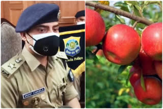 Tight security arrangements will be made during apple season in Himachal Pradesh