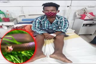 OHRC, Odisha human right commission,  case of Pouring water on snakebite victim, ସାପ କାମୁଡ଼ା ନେଇ ଅନ୍ଧବିଶ୍ବାସ, ରିପୋର୍ଟ ମାଗିଲେ OHRC
