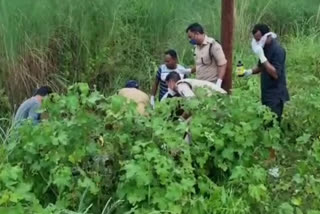 dead body found on roadside