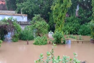 rain in sheopur