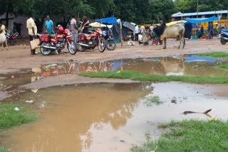 ଅବ୍ୟବସ୍ଥା ଘେରରେ ବୌଦ୍ଧ ଏନଏସିର ପ୍ରମୁଖ ବଜାର