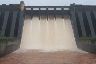 gates of the Koyna Dam opened by ten and half feet in satara