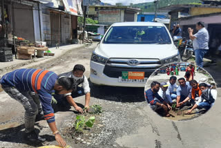 people-planted-saplings-in-front-mla of mla car