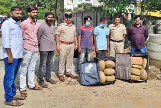 Two drug peddlers arrested