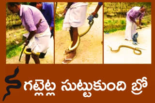 Man Wraps Snake Around legs