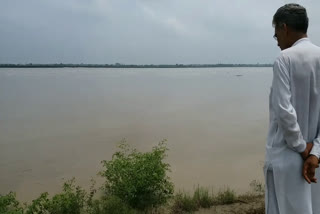 100 acres crops submerged sonipat