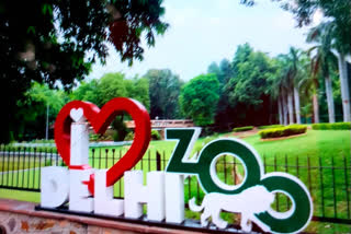 delhi zoo reopen